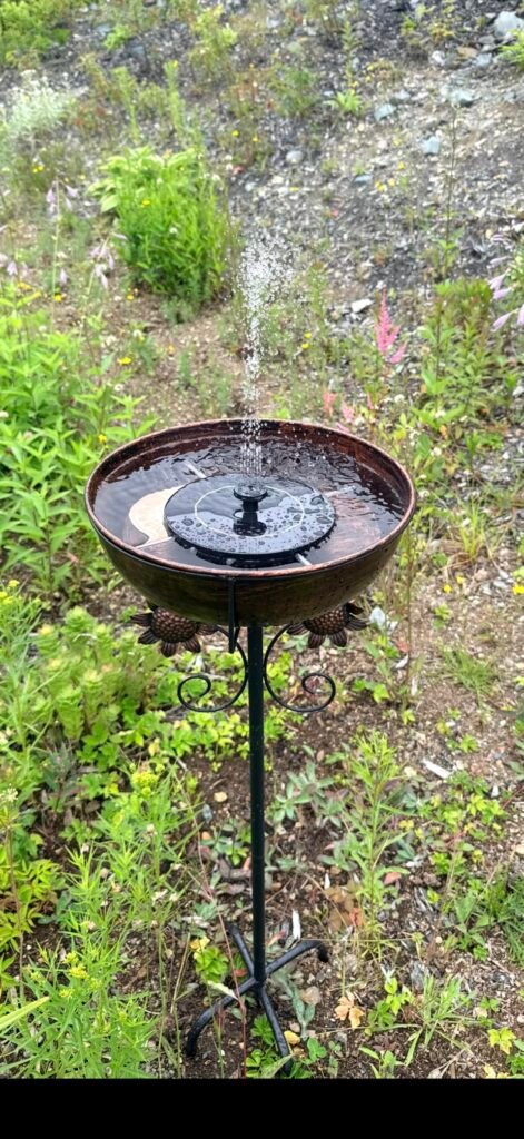 3" Deep Metal Bird Bath product view 3