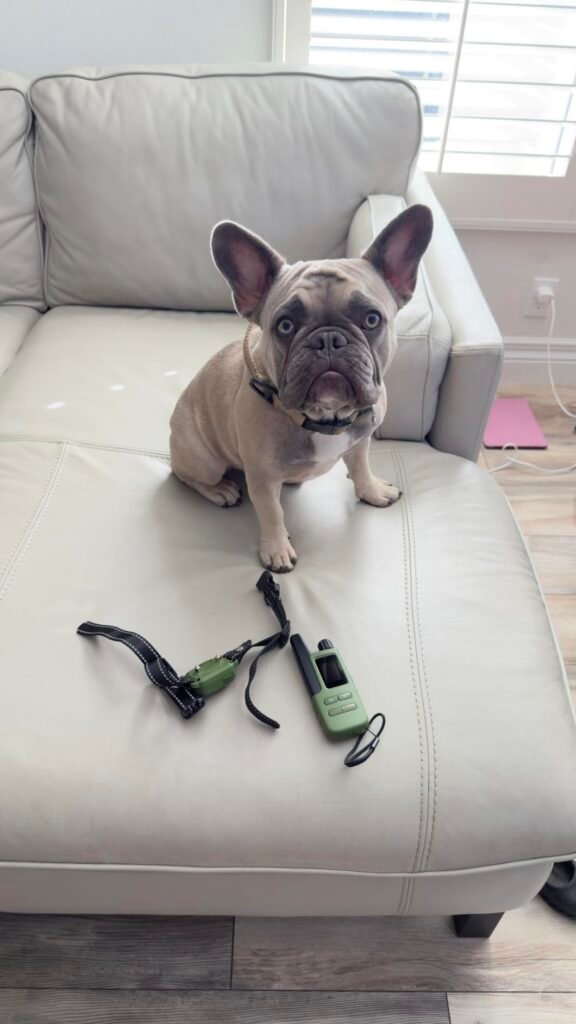 4500FT Dog Training Collar product view 3