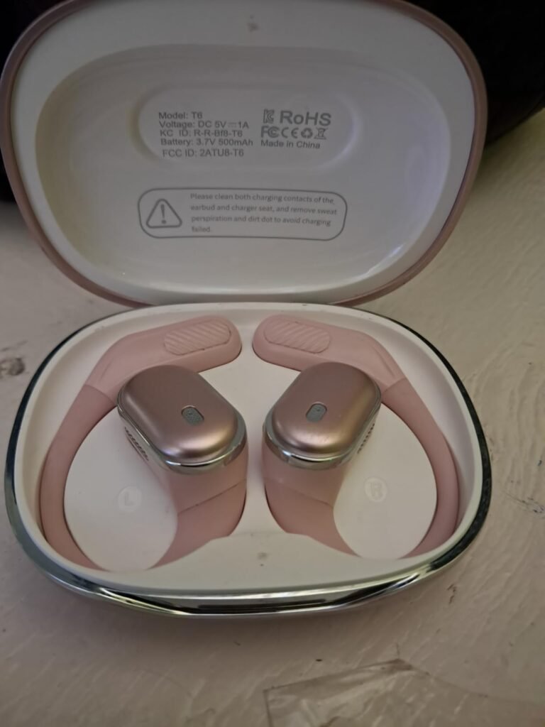 80H Earhook Earbuds product view 2