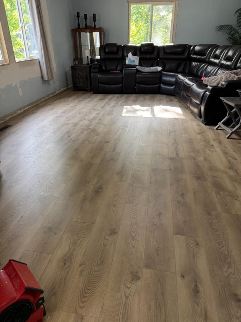 Aunt Fannie's Hardwood Cleaner product view 1