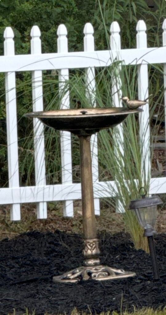 Backyard Expressions Bronze Bath product view 3
