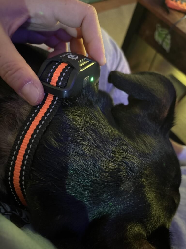 Bousnic Dog Shock Collar product view 3
