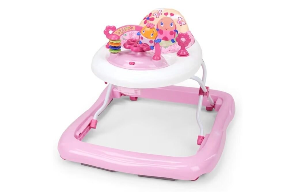 Bright Starts JuneBerry product view 1