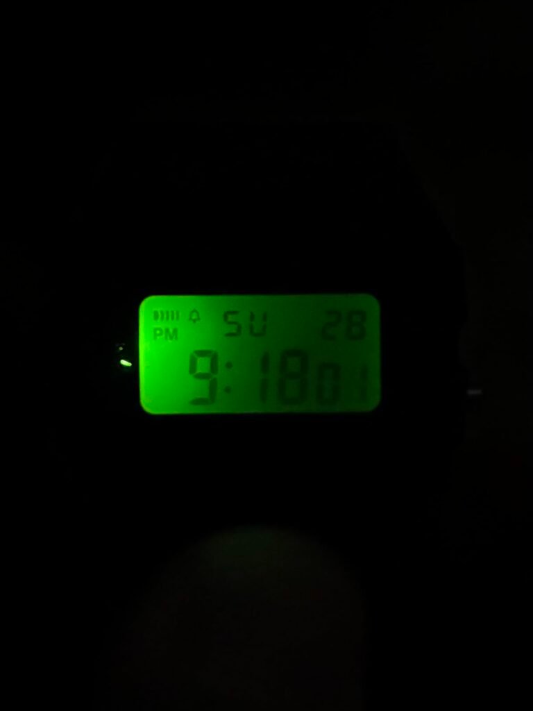 Casio F91W product view 2