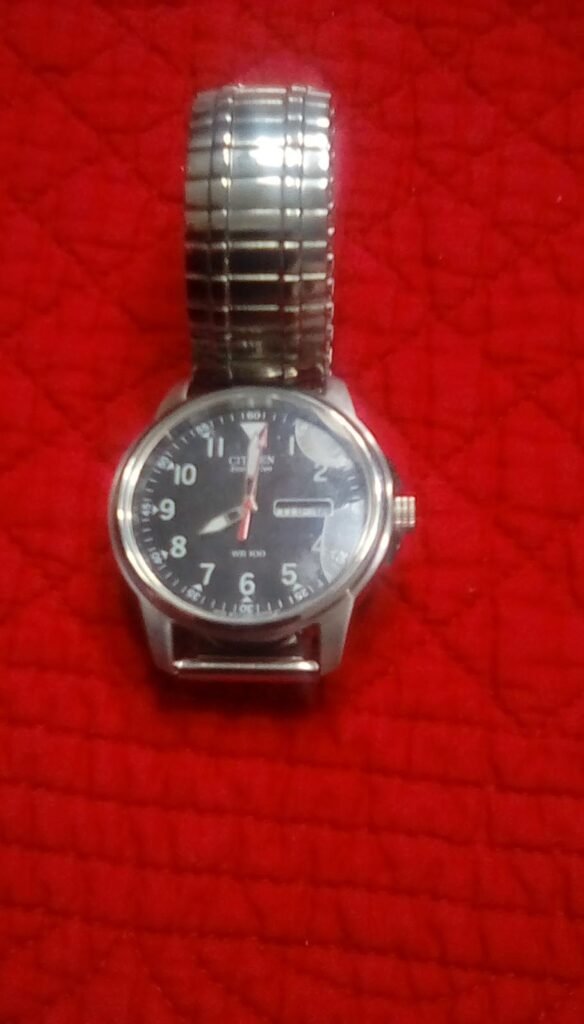 Citizen Garrison Field Watch product view 2