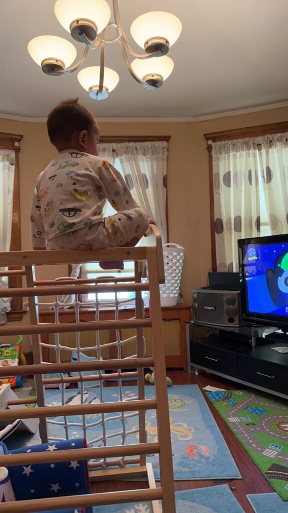 Costzon 8-in-1 Jungle Gym product view 3