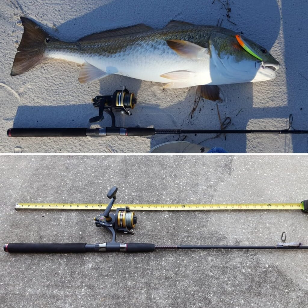 Daiwa BG product view 3