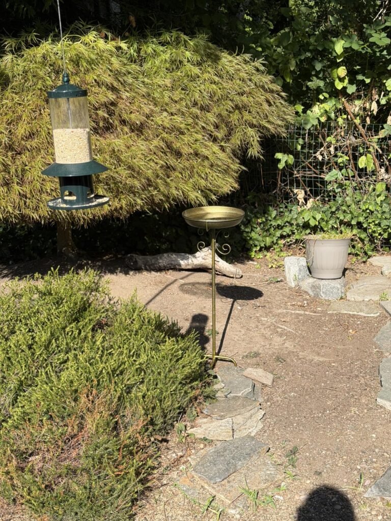 Daoeny 35" Metal Bird Bath product view 3