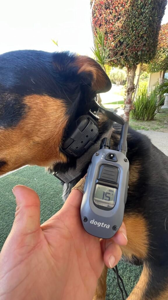 Dogtra 280X product view 1