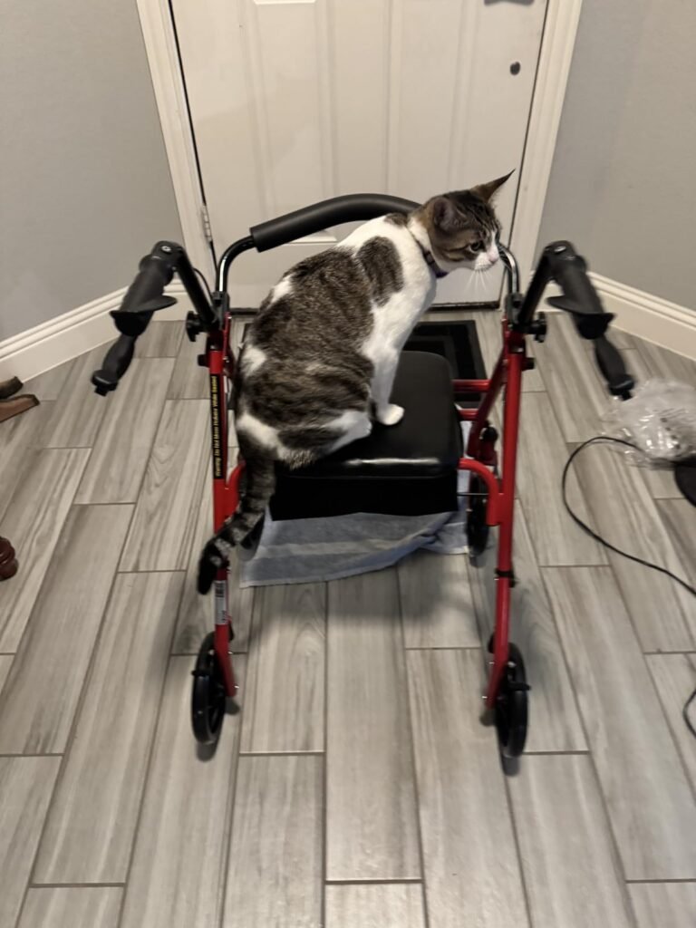 Drive Medical Steel Rollator product view 1