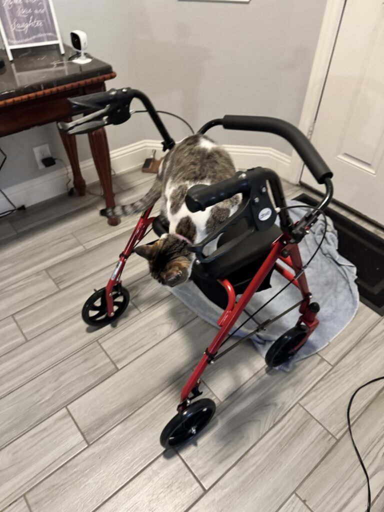 Drive Medical Steel Rollator product view 2