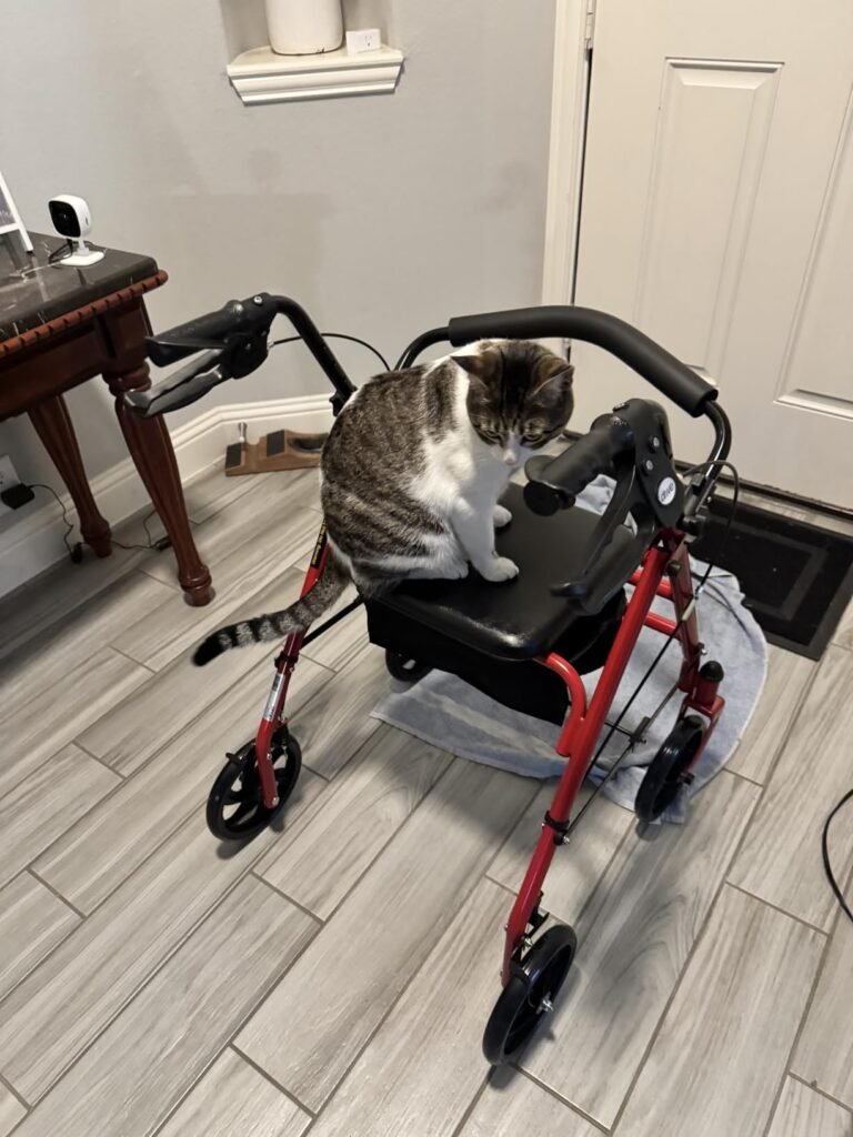 Drive Medical Steel Rollator product view 3