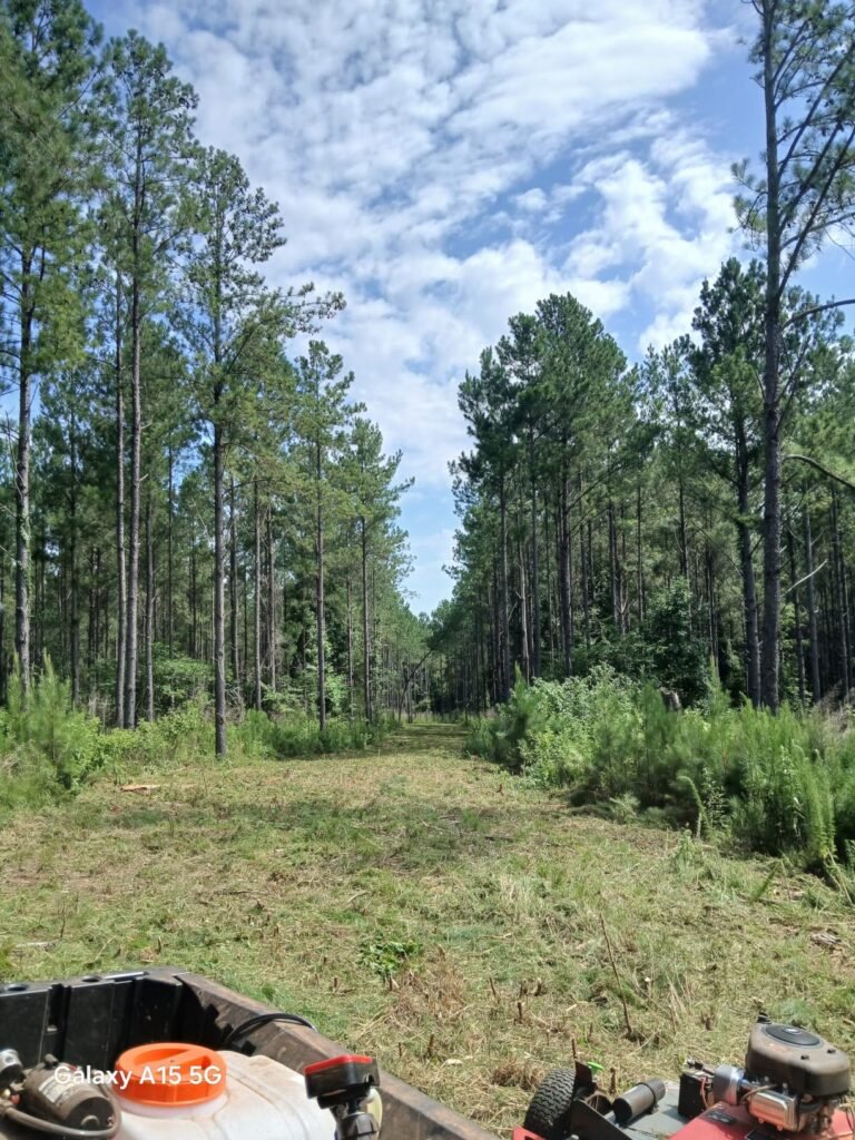 Earthquake Acreage 44-inch product view 2