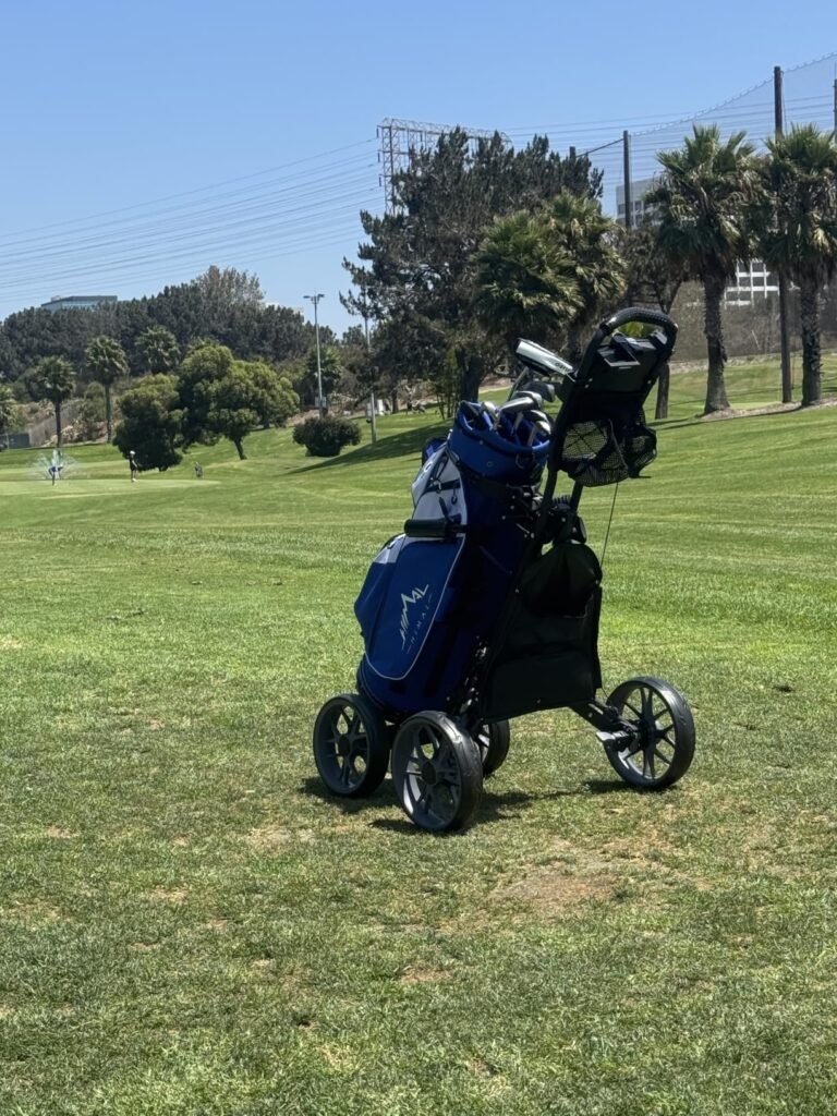 EASEGO 4-Wheel Cart product view 1
