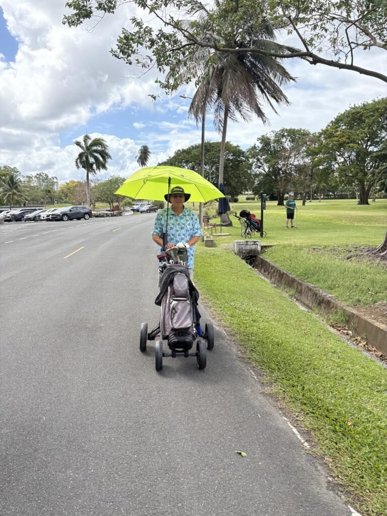 EASEGO 4-Wheel Cart product view 2