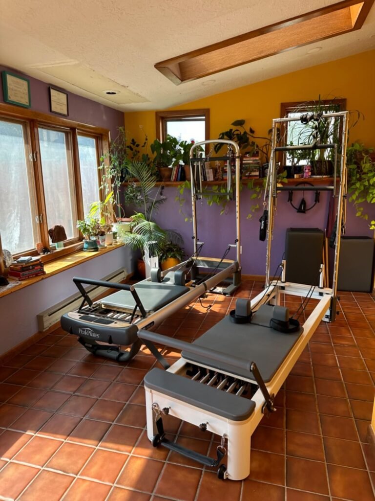 FAITTD Aluminum Mentor Reformer product view 2