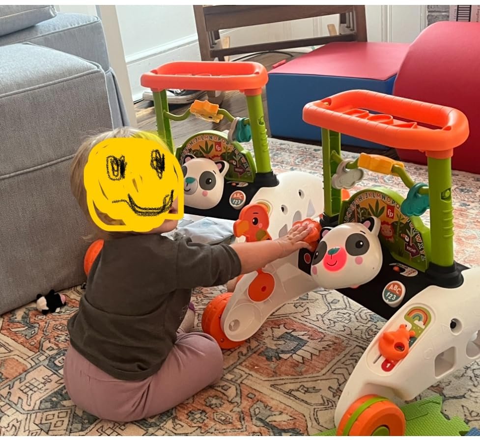 Fisher-Price Panda product view 3