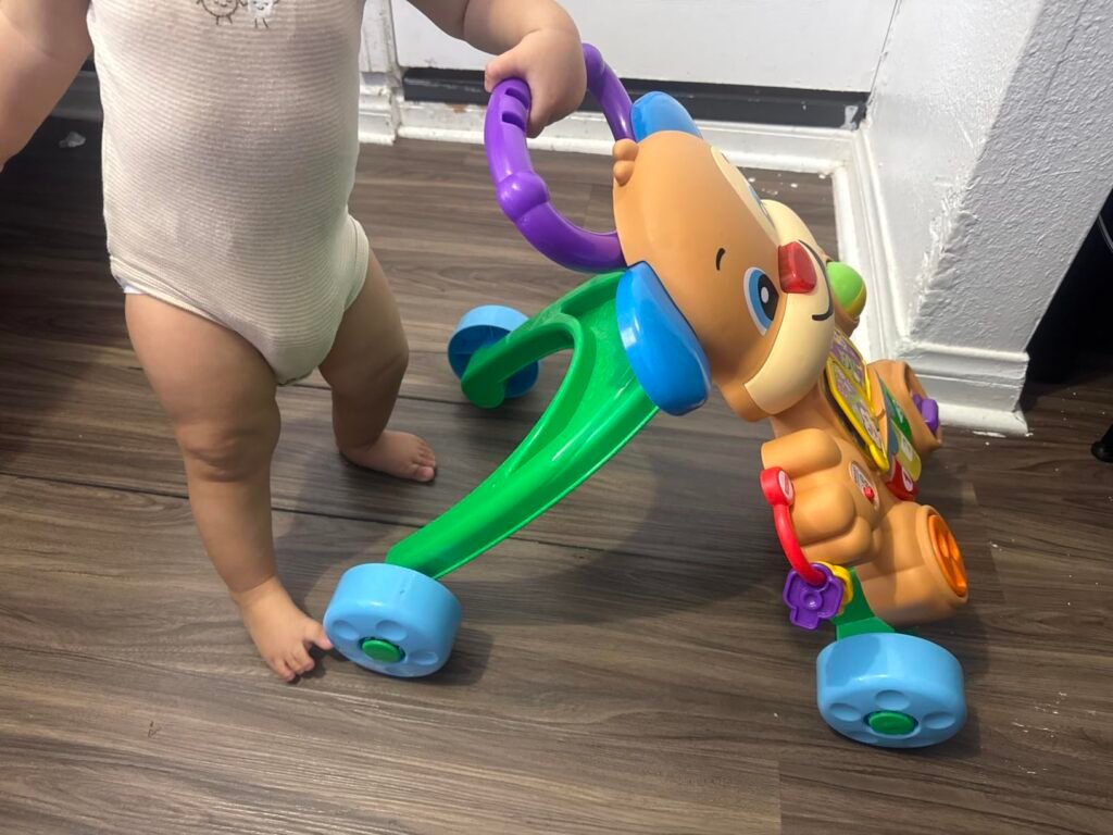 Fisher-Price Puppy Walker product view 1