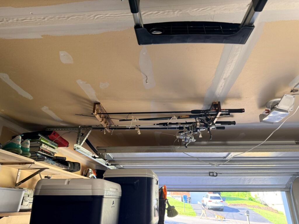 Ghosthorn Wall/Ceiling product view 3
