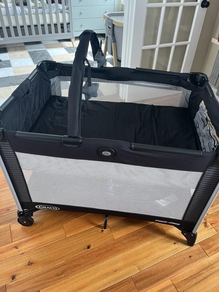 Graco On the Go DLX product view 1
