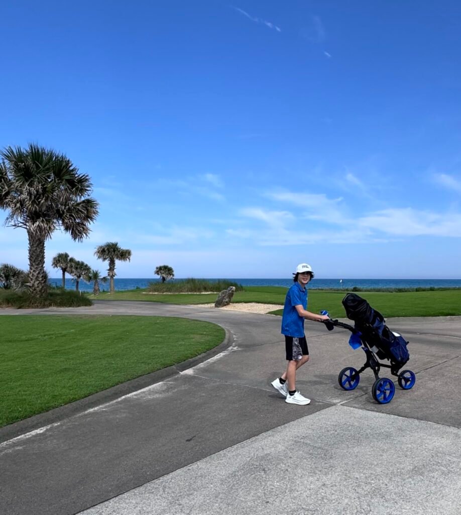 KVV Foldable Cart product view 2