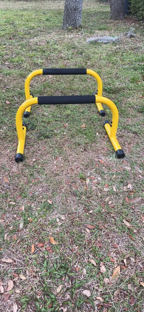Lebert Fitness Parallettes product view 2
