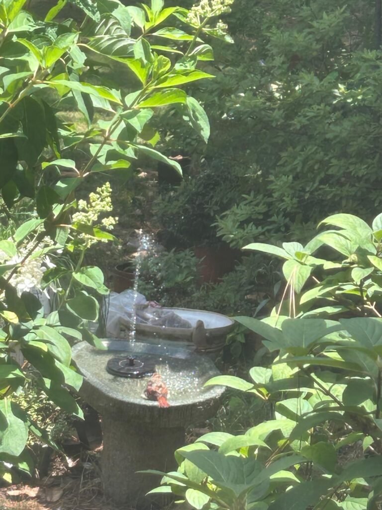 Mademax Solar Fountain Pump product view 1