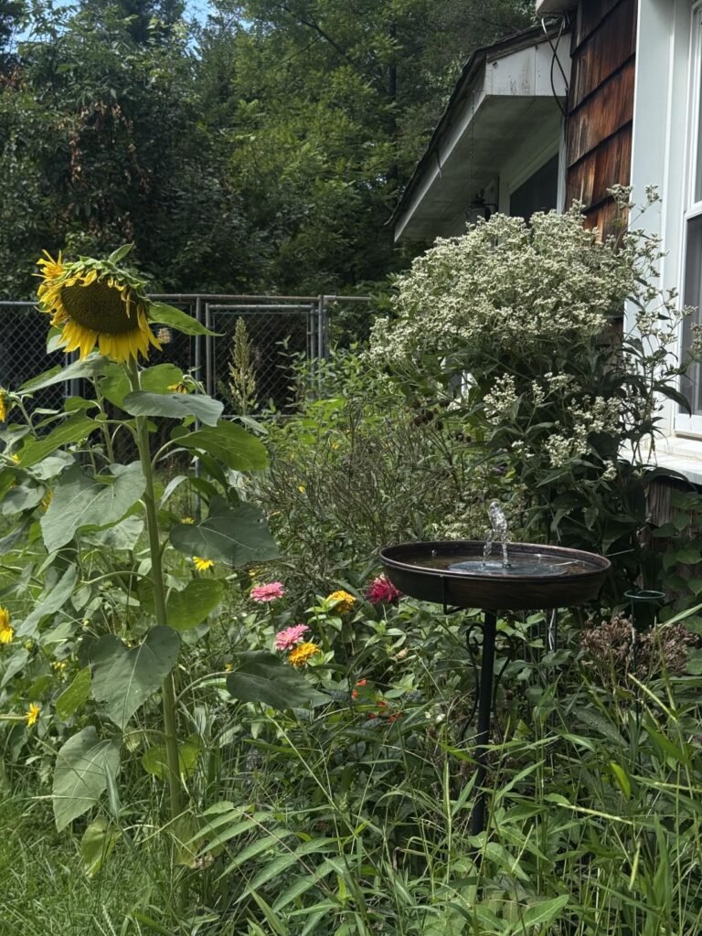 Mademax Solar Fountain Pump product view 3