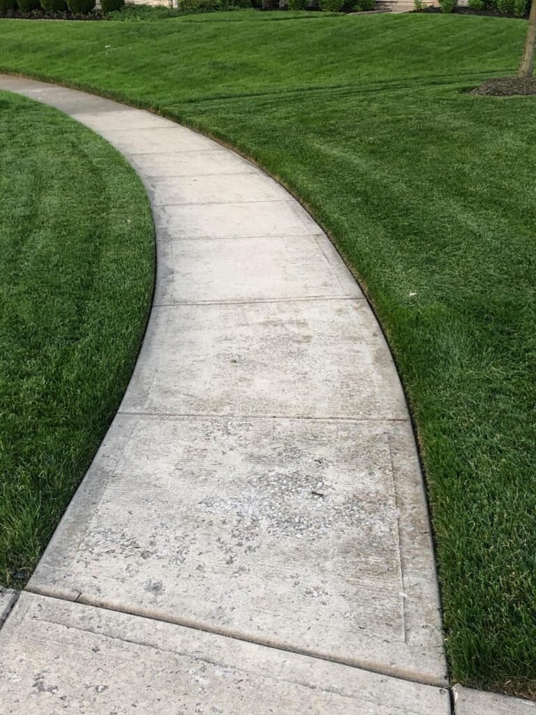 McLane 9-Inch Edger product view 1