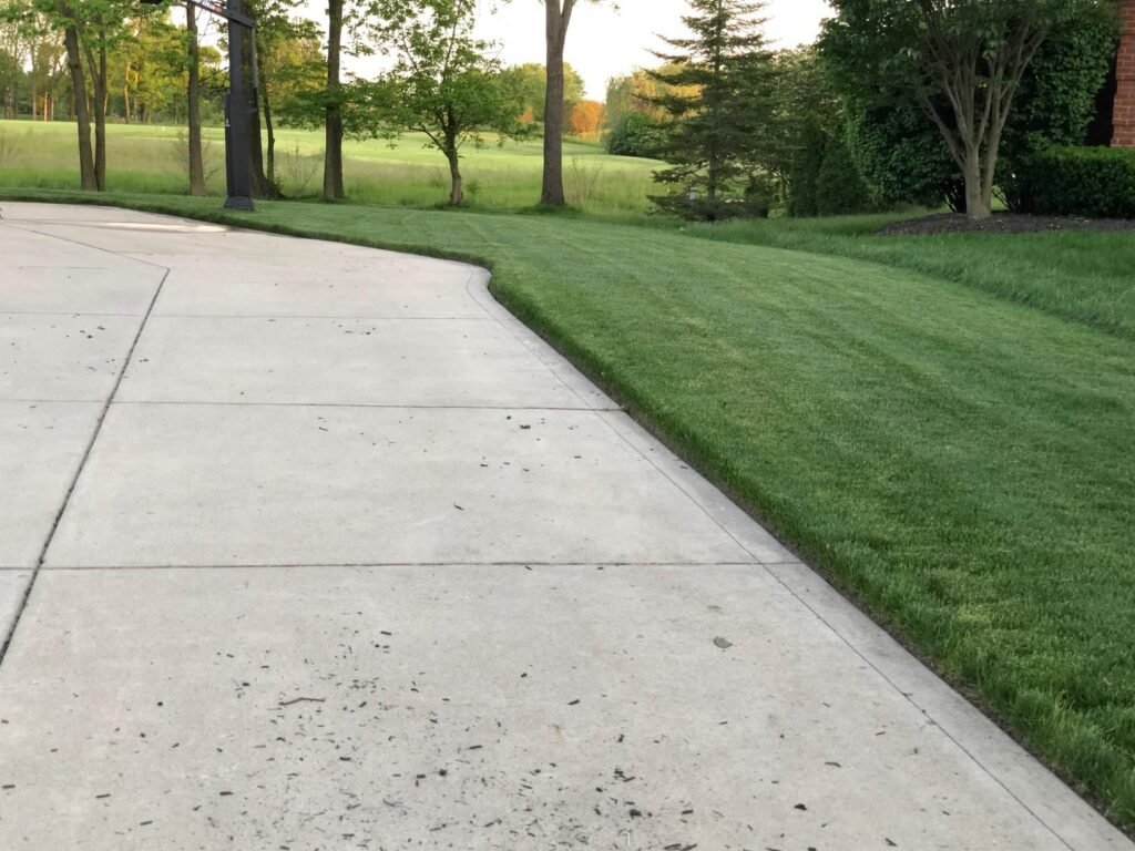 McLane 9-Inch Edger product view 2