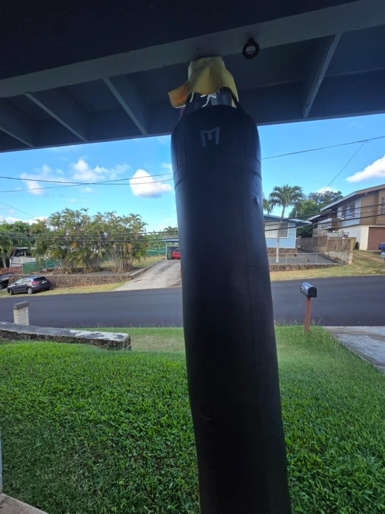 Meister 110lb Muay Thai product view 1