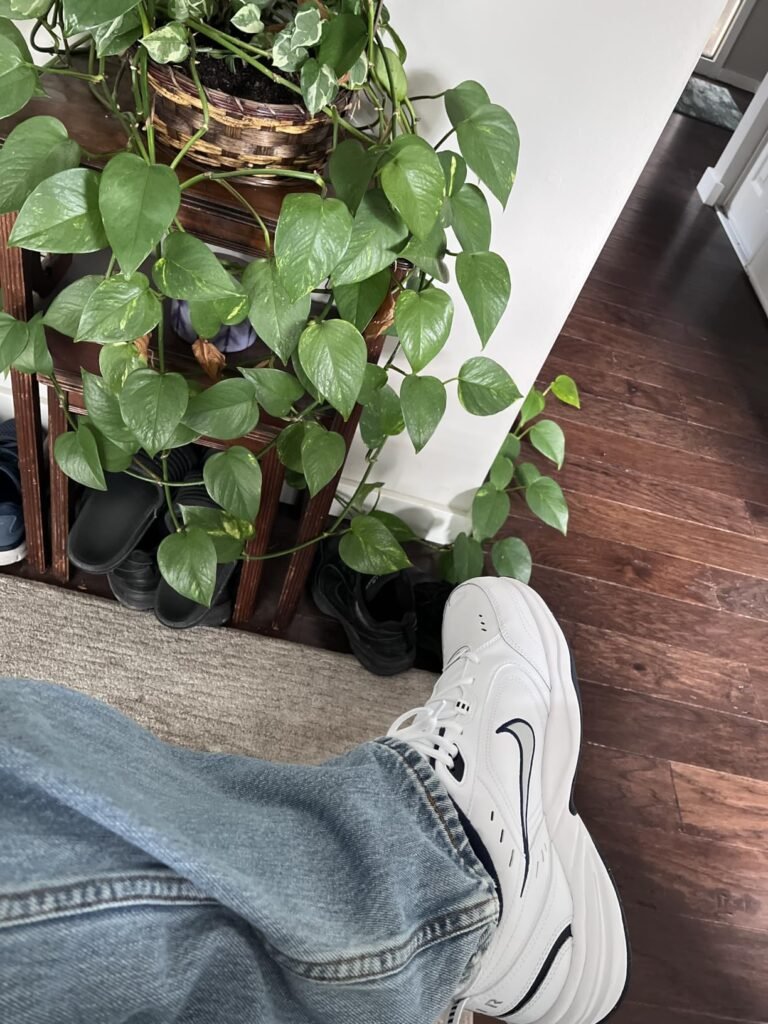 Nike Air Monarch IV product view 2