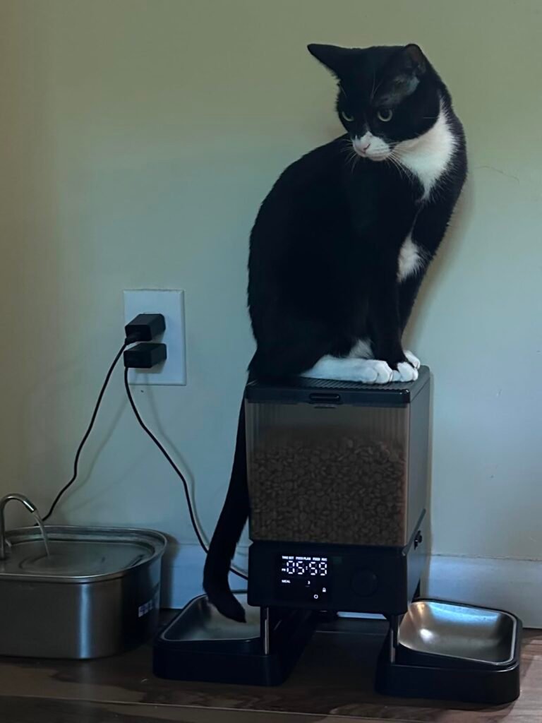 oneisall Two-Cat Feeder product view 1