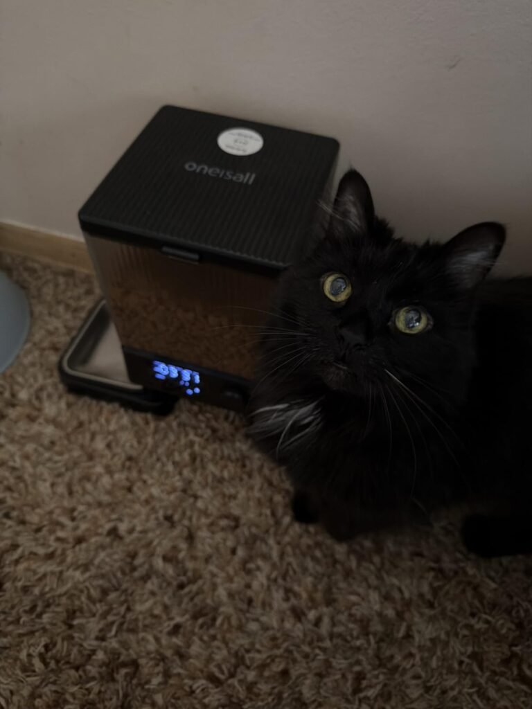 oneisall Two-Cat Feeder product view 2