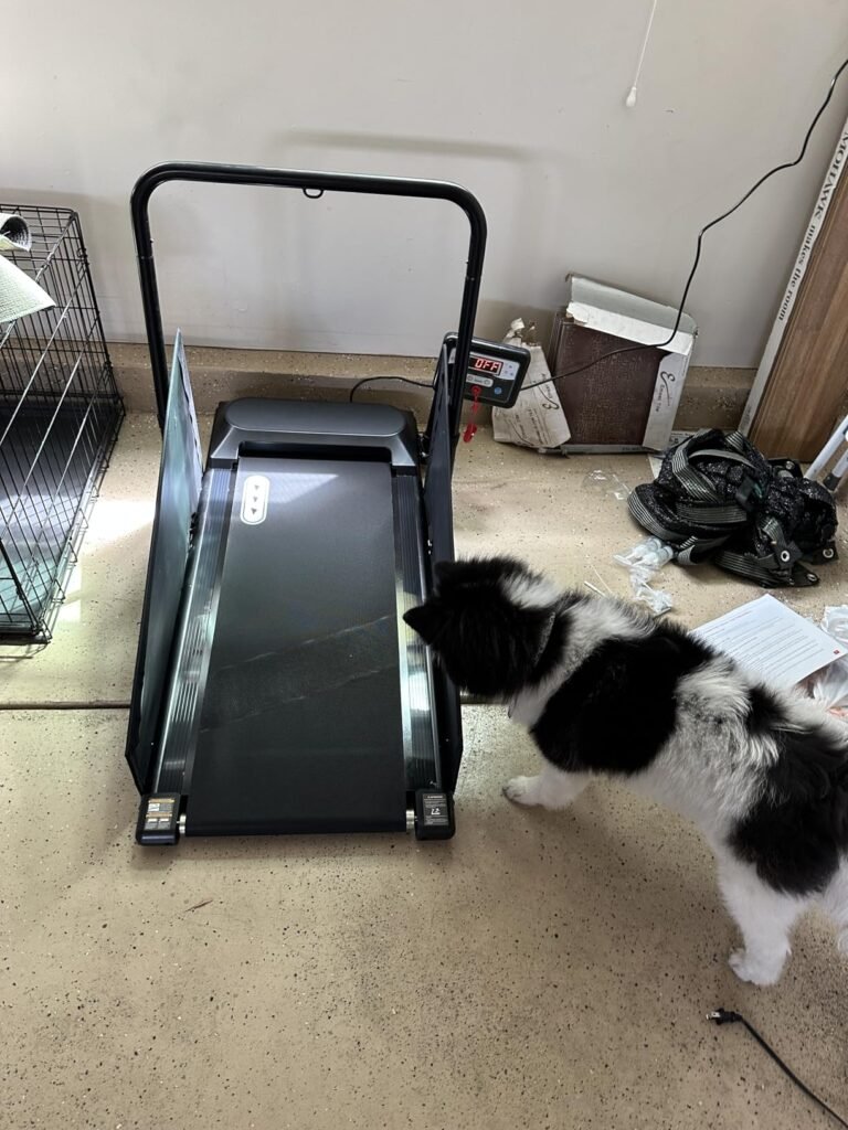 Petbobi Compact Treadmill product view 2