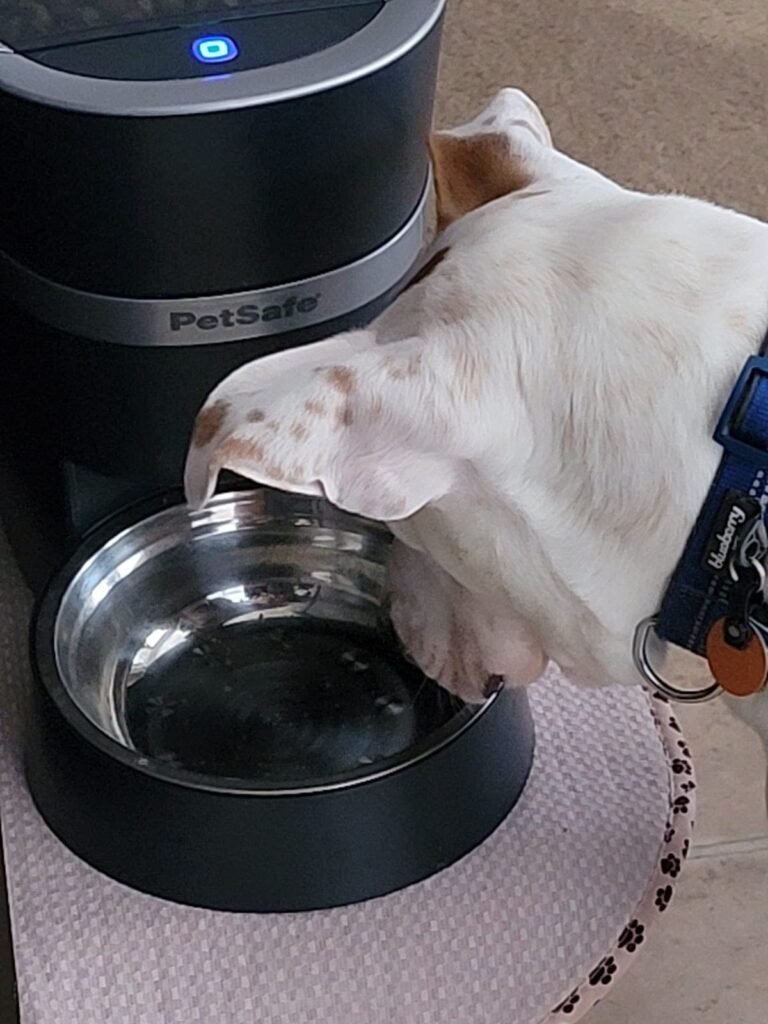 PetSafe Smart Feed product view 1