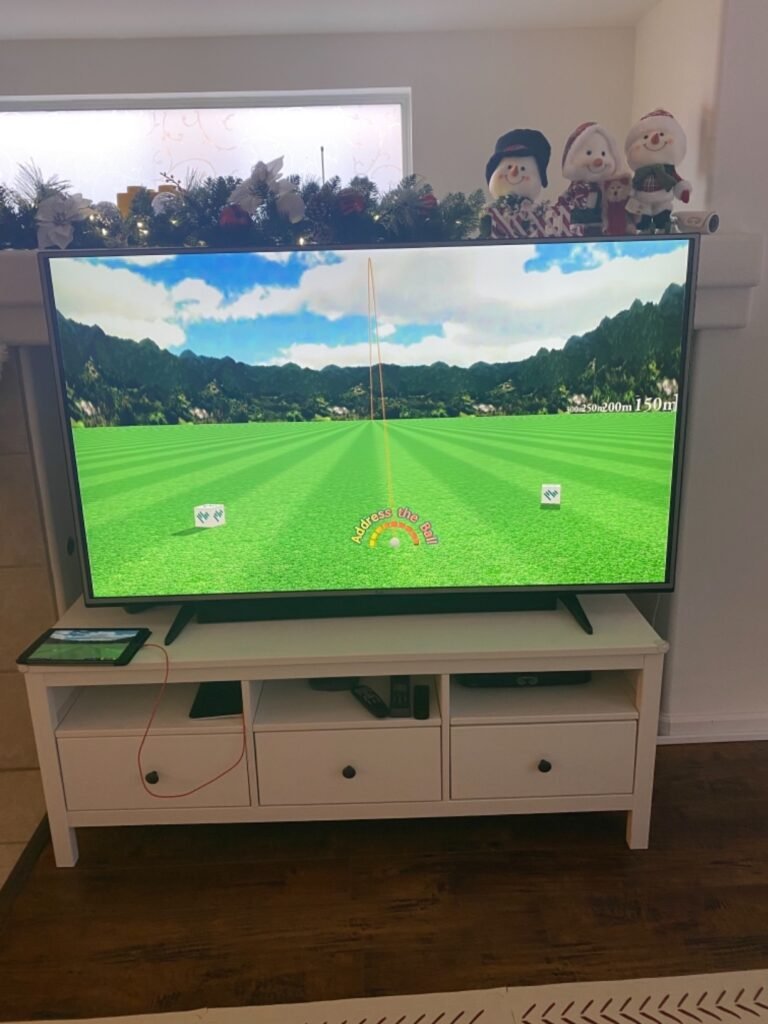PHIGOLF Home Simulator product view 3