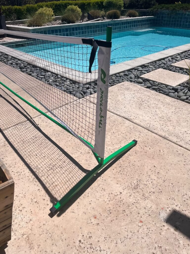 Pickle-Ball 3.0 Tournament product view 1