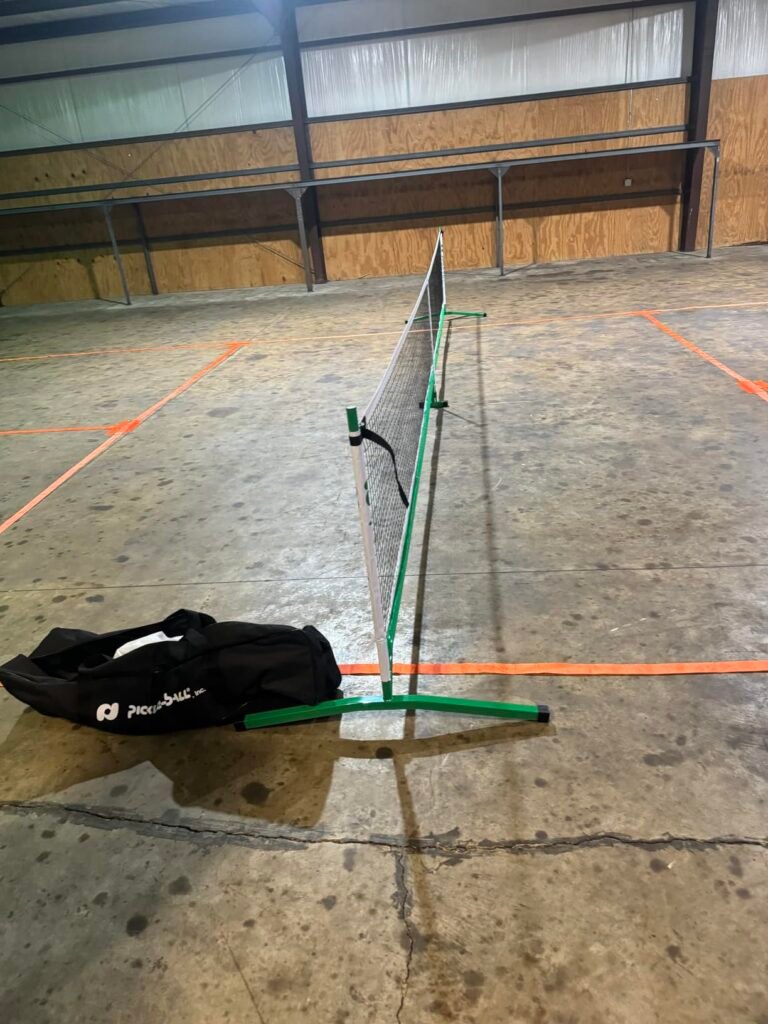 Pickle-Ball 3.0 Tournament product view 3