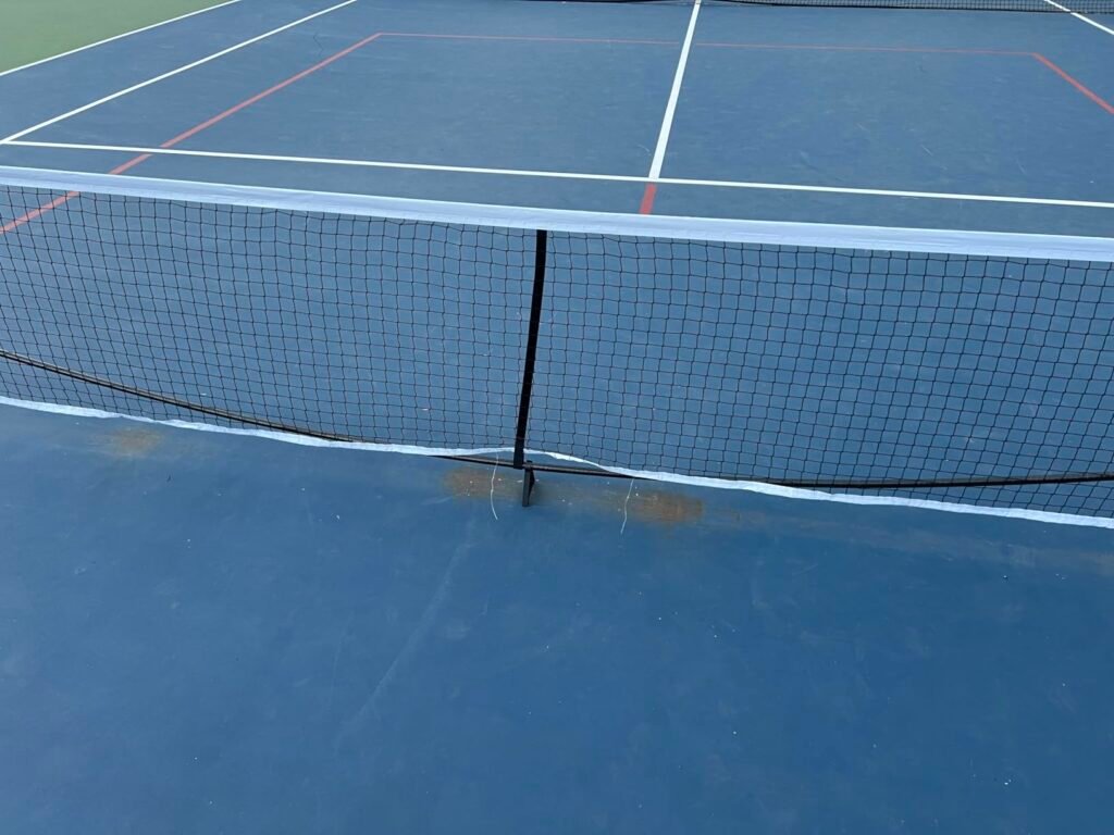 Pickle-Ball SwiftNet 2.1 product view 3