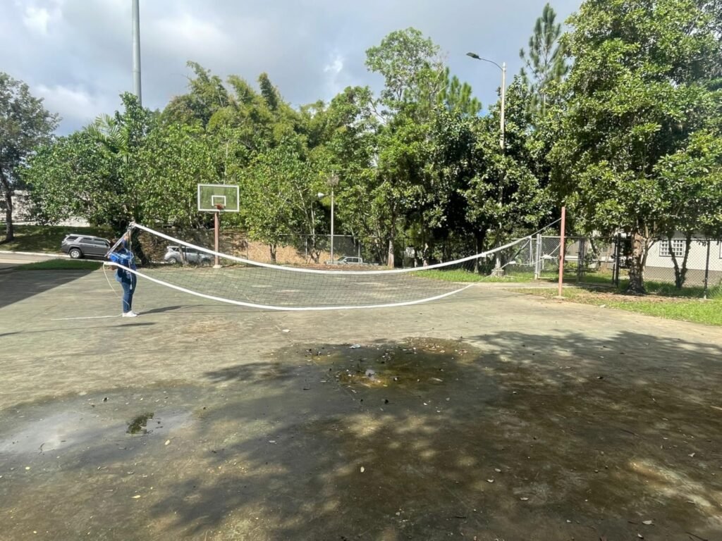 Professional Replacement Net product view 2