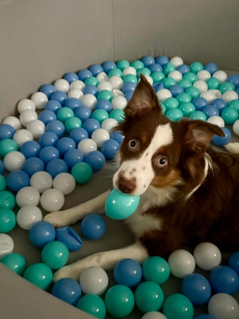 SHJADE Foam Ball Pit product view 1