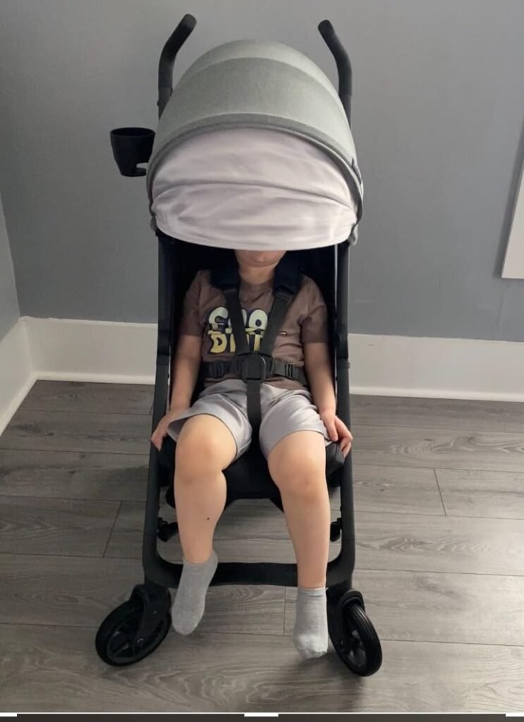 UPPAbaby G-Luxe product view 2