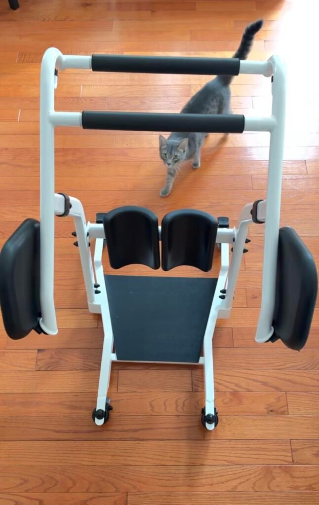 VOCIC Sit-to-Stand product view 2