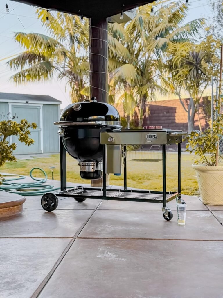Weber Summit S6 product view 1