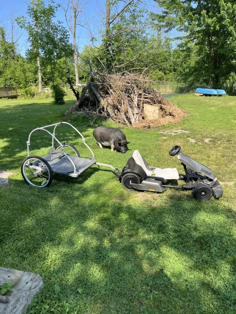 Segway Ninebot Pro 2 product view 2